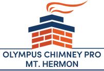Olympus Chimney Pro
